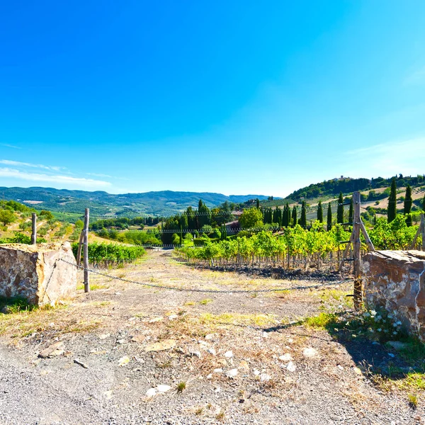チアンティ地方のブドウ畑とトスカーナの丘 イタリアのブドウ畑があるトスカーナの丘のオリーブの木 保護と安全ブドウ園エリアのための電気フェンス — ストック写真