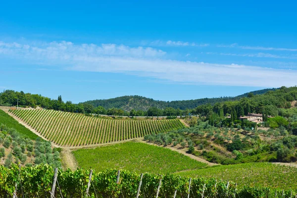 Krajobraz Toskanii Wiejskim Domem Gajami Oliwnymi Winnicami Włoska Winiarnia Otoczona — Zdjęcie stockowe