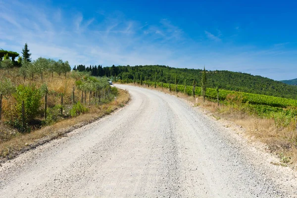 Tuscany Landscape Dirty Road Vineyards Road Vineyards Italy — Stock Photo, Image