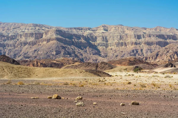 İsrail 'deki Negev Çölü' nün Rocky tepeleri. Güney İsrail 'deki kaya oluşumlarının nefes kesici manzarası. Tozlu dağlar wadiler ve derin kraterler tarafından kesildi..