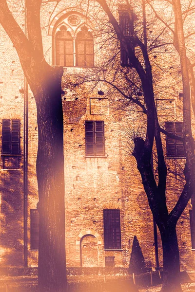Whimsical Shade Дерев Подвір Палацу Герцога Гонзаги Мантуї Світанку Сучасному — стокове фото