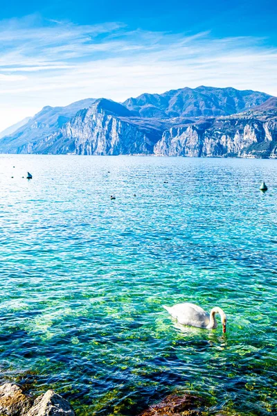 Costa Deserta Lago Garda Itália Ausência Turismo — Fotografia de Stock