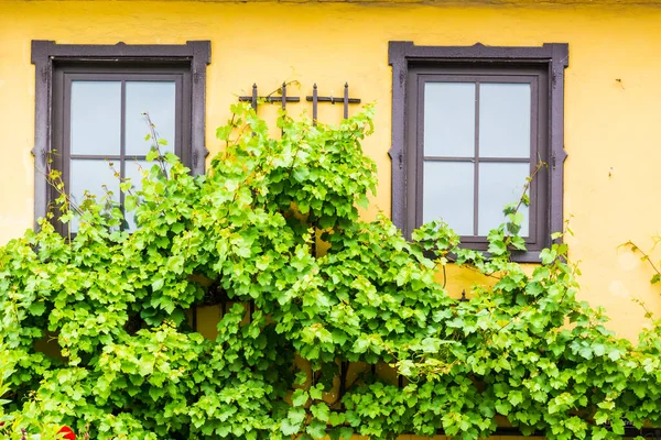 Avusturya Küçük Bir Kasabada Tipik Bir Penceresi Yağmurlu Bir Günde — Stok fotoğraf