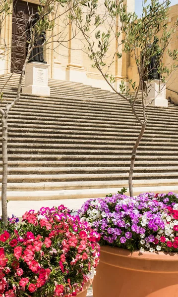 Varsayımın Katedrali Malta Nın Gozo Şehrinde Victoria Cittadella Bulunan Bir — Stok fotoğraf