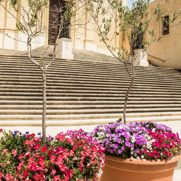 Catedral Asunción Una Catedral Católica Ciudadela Victoria Gozo Malta Flores — Foto de Stock