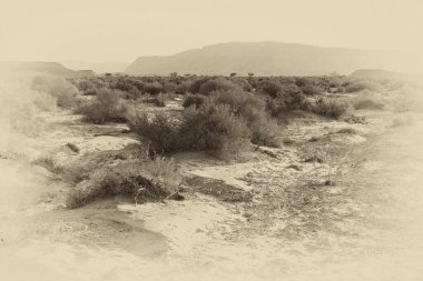 İsrail 'deki Negev Çölü' nün Rocky tepelerinin sonsuz ıssızlığı. Ortadoğu 'nun nefes kesici manzarası ve doğası. Siyah beyaz fotoğraf