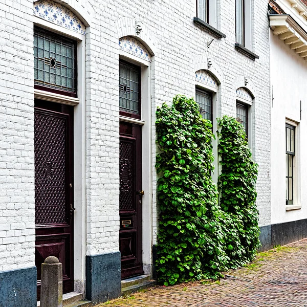 Edifícios Históricos Cidade Amersfoort Casas Típicas Tijolos Holandeses Holanda — Fotografia de Stock