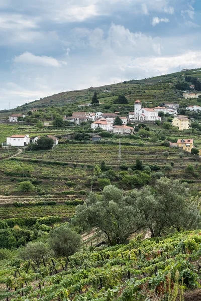 Vinhedos Região Rio Douro Portugal Viticultura Aldeia Portuguesa — Fotografia de Stock
