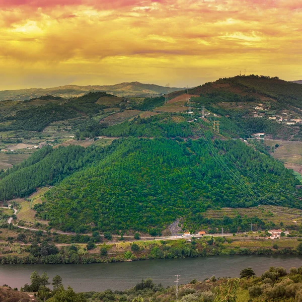 Vineyards River Douro Region Portugal Viticulture Portuguese Village Gorgeous Misty — Stock Photo, Image