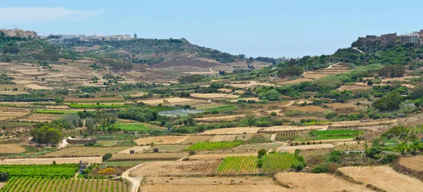 Rural Landscape Fields Vineyards Maltese Island Gozo — Stock Photo, Image