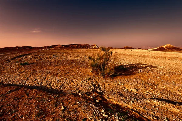 Collines Rocheuses Désert Néguev Israël Coucher Soleil Formations Rocheuses Sculptées — Photo