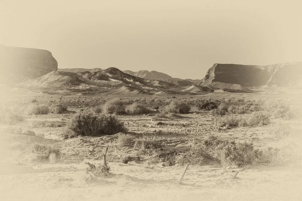 以色列内盖夫沙漠落基山脉的无限荒凉 中东令人振奋的风景和大自然 黑白照片 — 图库照片