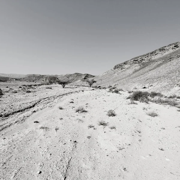 Escena Dramática Blanco Negro Las Colinas Rocosas Del Desierto Del — Foto de Stock