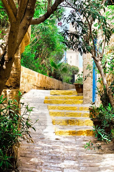 Gebied Van Oude Gerestaureerde Jaffa Israël Oude Stenen Trappen Arabische — Stockfoto