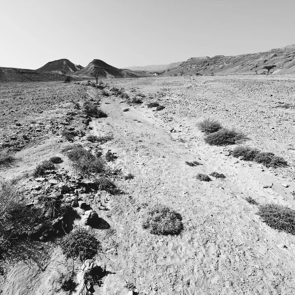 Srail Deki Negev Çölü Nün Kayalık Tepelerinde Yalnızlık Boşluk Ortadoğu — Stok fotoğraf