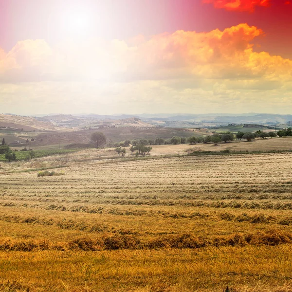 Пшеничні Поля Сицилії Після Збору Врожаю Сицилійський Пейзаж Світанку Пагорби — стокове фото