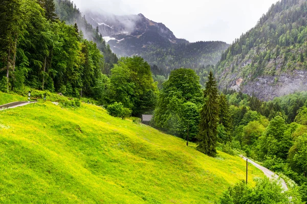 Poranna Mgła Nad Austriackim Krajobrazem Lasami Górami Pastwiskami Łąkami Wsiami — Zdjęcie stockowe