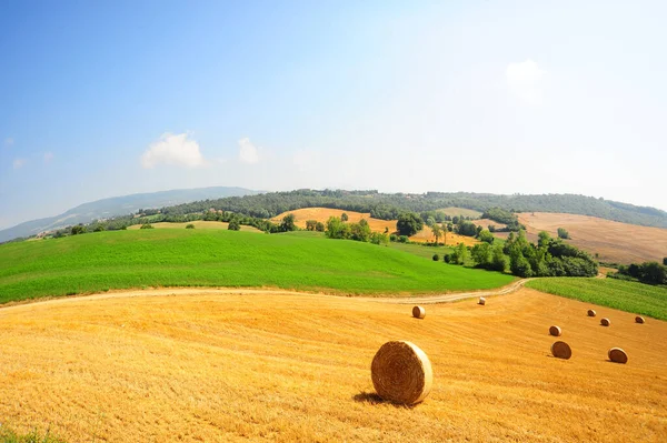 Toscana Paisaje Del Campo Trigo Con Fardos Heno — Foto de Stock