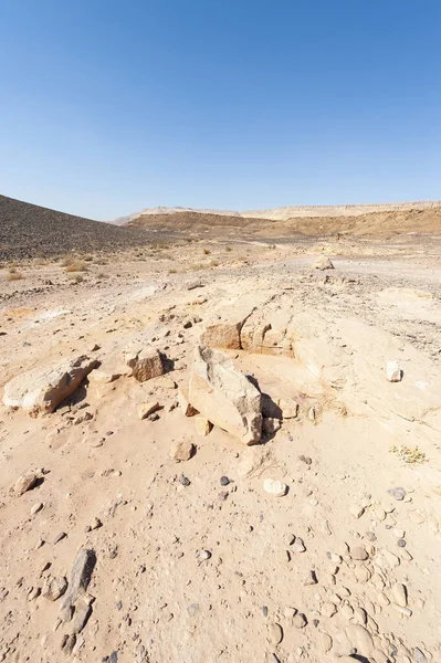 Impresionante Paisaje Las Formaciones Rocosas Desierto Israel Montañas Polvorientas Interrumpidas —  Fotos de Stock