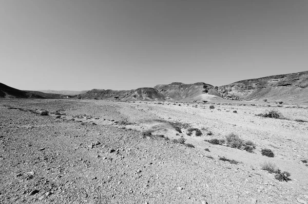 Srail Deki Negev Çölü Nün Kayalık Tepelerinde Yalnızlık Boşluk Ortadoğu — Stok fotoğraf
