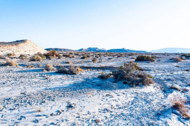 İsrail çölündeki kaya oluşumlarının nefes kesici manzarası. Yalnızlık, umutsuzluk ve depresyon kavramı olarak cansız ve ıssız bir sahne..