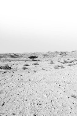 İsrail çölünde siyah beyaz kaya oluşumlarının nefes kesici manzarası. Yalnızlık, umutsuzluk ve depresyon kavramı olarak cansız ve ıssız bir sahne..