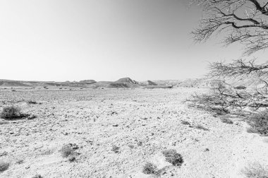 İsrail çölünde siyah beyaz kaya oluşumlarının nefes kesici manzarası. Yalnızlık, umutsuzluk ve depresyon kavramı olarak cansız ve ıssız bir sahne..