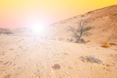 İsrail çölündeki kaya oluşumlarının nefes kesici manzarası. Yalnızlık, umutsuzluk ve depresyon kavramı olarak cansız ve ıssız bir sahne..