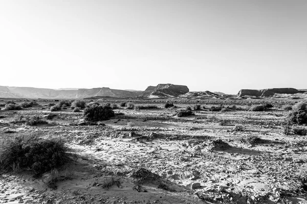 Захватывающий Дух Пейзаж Скальных Образований Пустыне Израиля Черно Белом Цвете — стоковое фото
