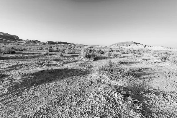 Impresionante Paisaje Las Formaciones Rocosas Desierto Israel Blanco Negro Escena — Foto de Stock