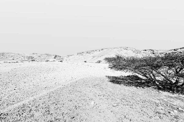 Paisagem Tirar Fôlego Das Formações Rochosas Deserto Israel Preto Branco — Fotografia de Stock