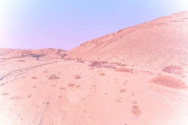 Paisagem Tirar Fôlego Das Formações Rochosas Deserto Israel Efeito Cor — Fotografia de Stock