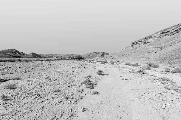 Adembenemend Landschap Van Rotsformaties Woestijn Van Israël Zwart Wit Levenloos — Stockfoto