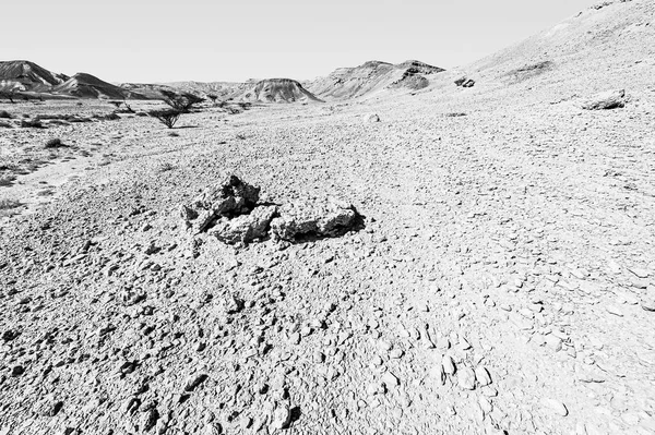 Εκπληκτικό Τοπίο Των Πετρωμάτων Στην Έρημο Του Ισραήλ Μαύρο Και — Φωτογραφία Αρχείου