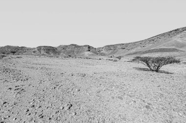 İsrail çölünde siyah beyaz kaya oluşumlarının nefes kesici manzarası. Yalnızlık, umutsuzluk ve depresyon kavramı olarak cansız ve ıssız bir sahne..