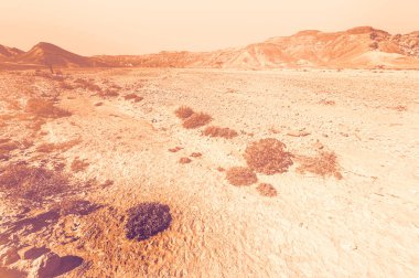 İsrail çölündeki kaya oluşumlarının nefes kesici manzarası şafak vakti çağdaş bir tarzda. Yalnızlık, umutsuzluk ve depresyon kavramı olarak cansız ve ıssız bir sahne..