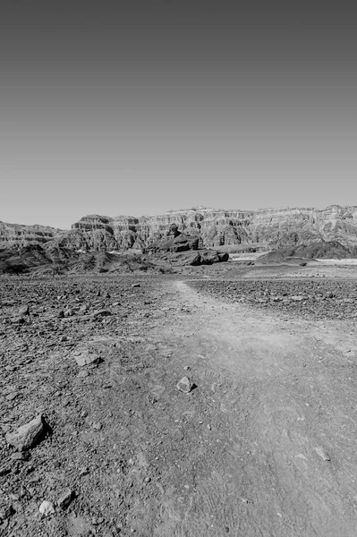 Impresionante Paisaje Las Formaciones Rocosas Desierto Israel Blanco Negro Escena — Foto de Stock