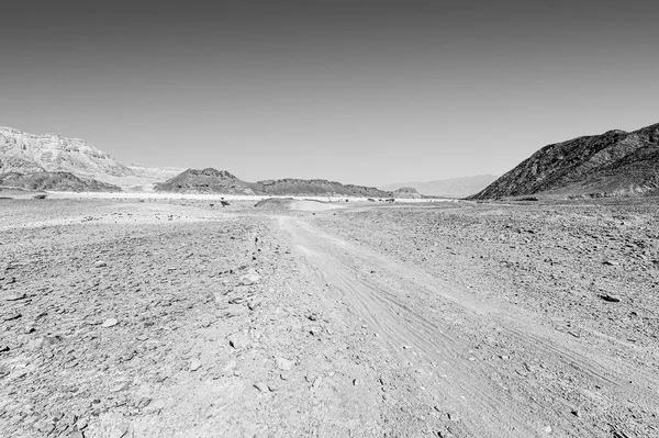 Srail Çölünde Siyah Beyaz Kaya Oluşumlarının Nefes Kesici Manzarası Yalnızlık — Stok fotoğraf