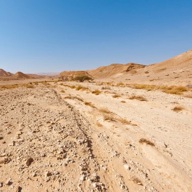 İsrail 'deki Negev Çölü' nün kayalık tepelerinin melankolik ve boşluğu. Ortadoğu 'nun nefes kesici manzarası ve doğası.