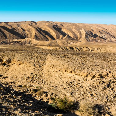 İsrail 'deki Negev Çölü' nün Rocky tepeleri. Güney İsrail 'deki kaya oluşumlarının nefes kesici manzarası. Tozlu dağlar wadiler ve derin kraterler tarafından kesildi..