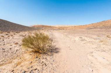 İsrail 'deki Negev Çölü' nün Rocky tepeleri. Ortadoğu 'nun nefes kesici manzarası ve doğası.