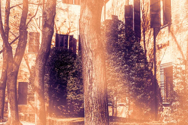 Причудливая Тень Деревьев Дворе Дворца Герцога Гонзага Мантуе Рассвете Современном — стоковое фото