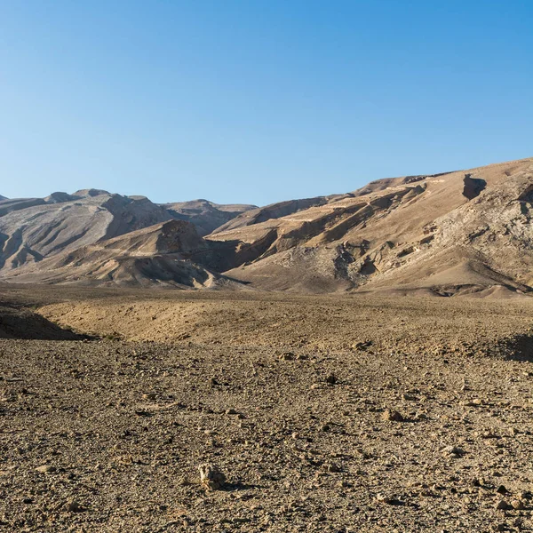 Dealurile Stâncoase Din Deșertul Negev Din Israel Peisajul Uluitor Formațiunilor — Fotografie, imagine de stoc