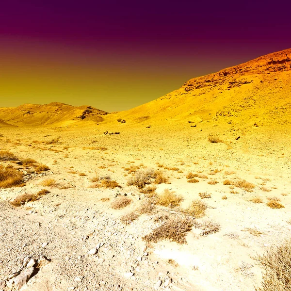 İsrail 'deki Negev Çölü' nün renkli kayalık tepeleri. Gün batımında Ortadoğu 'nun nefes kesici manzarası ve doğası