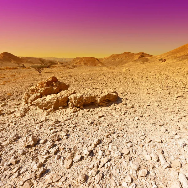 İsrail 'deki Negev Çölü' nün renkli kayalık tepeleri. Gün batımında Ortadoğu 'nun nefes kesici manzarası ve doğası