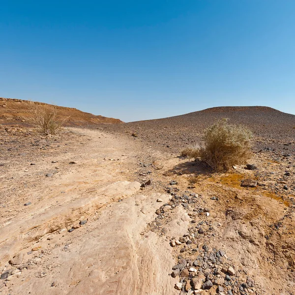 İsrail 'deki Negev Çölü' nün Rocky tepeleri. Ortadoğu 'nun nefes kesici manzarası ve doğası.