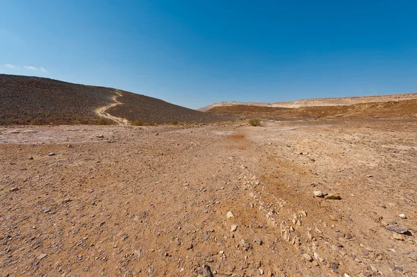 Bukit Berbatu Gurun Negev Israel Bentang Alam Yang Menakjubkan Dan — Stok Foto