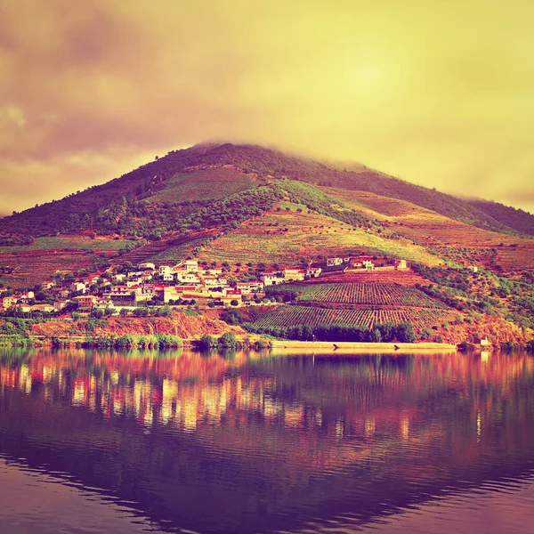 Wijngaarden Vallei Van Rivier Douro Bij Zonsondergang Instagram Effect — Stockfoto