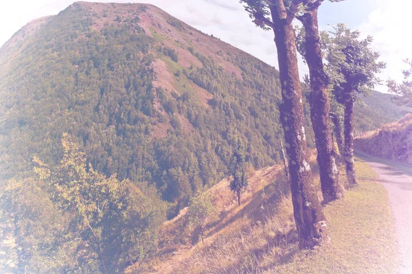 Narrow Paved Path French Alps Faded Color Effect Deserted Area — Stock Photo, Image