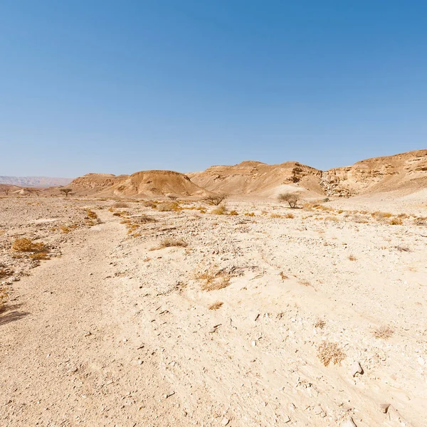 Malinconia Vuoto Delle Colline Rocciose Del Deserto Del Negev Israele — Foto Stock